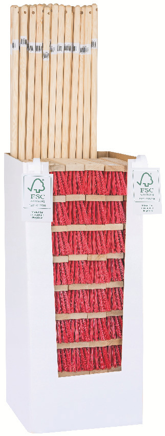 PIASAVAKVAST DISPLAY 54ST - Smart